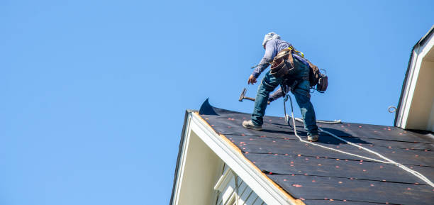 Best Flat Roof Repair Services  in West Park, FL